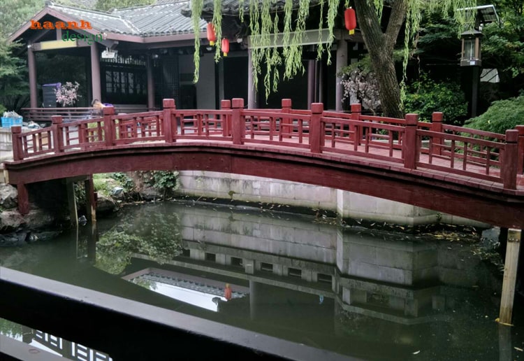 Cầu gỗ tự nhiên ngoài trời